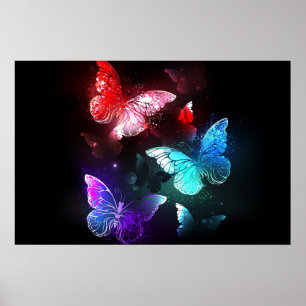 Drie golvende Butterflies op nachtachtergrond Poster