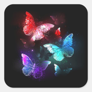Drie golvende Butterflies op nachtachtergrond Vierkante Sticker