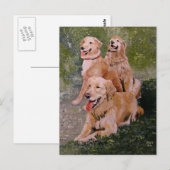 Drie Gouden Generaties Briefkaart (Voorkant / Achterkant)