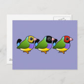 Drie Gouldian Finches Briefkaart (Voorkant / Achterkant)