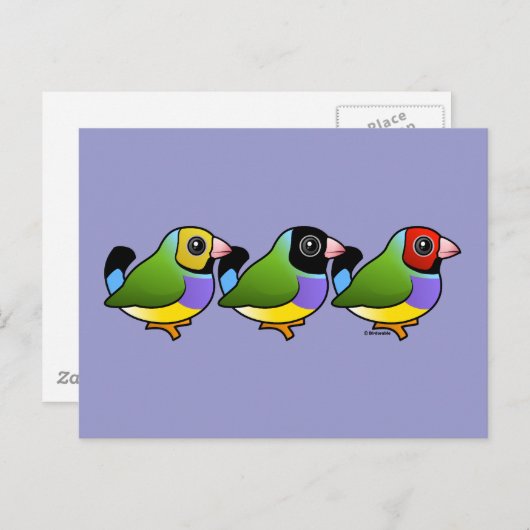 Drie Gouldian Finches Briefkaart (Voorkant / Achterkant)