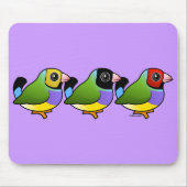 Drie Gouldian Finches Muismat (Voorkant)