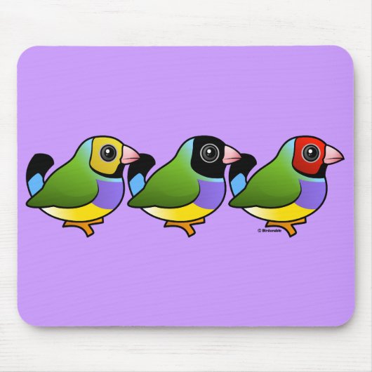 Drie Gouldian Finches Muismat (Voorkant)