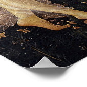 DRIE GRACES POSTER (Hoek)