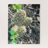 Drie Gray Morel-paddenstoelen in de Bossen Legpuzzel (Verticaal)
