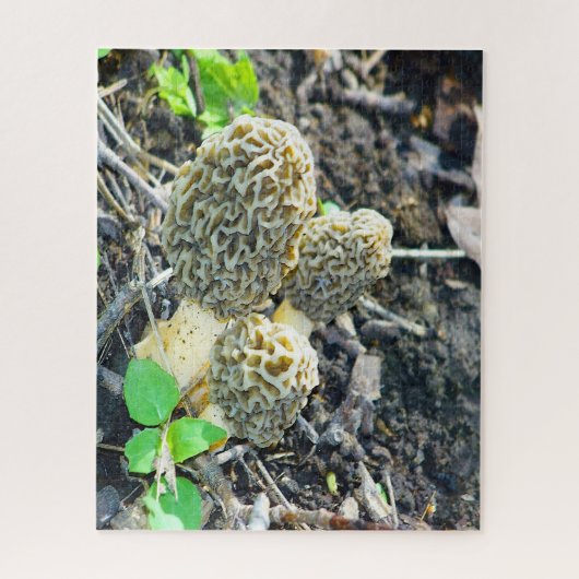 Drie Gray Morel-paddenstoelen in de Bossen Legpuzzel (Verticaal)