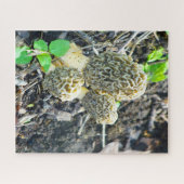 Drie Gray Morel-paddenstoelen in de Bossen Legpuzzel (Horizontaal)