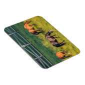 Drie grazende paarden magneet (Rechterzijde)