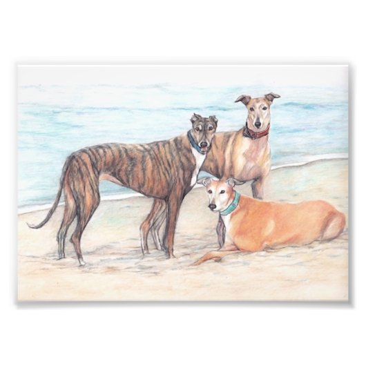 Drie Greyhound Dog Art Phoo Print Foto Afdruk (Voorkant)