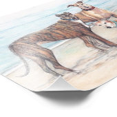 Drie Greyhound Dog Art Phoo Print Foto Afdruk (Hoek)
