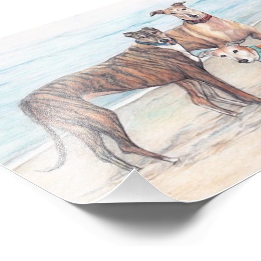 Drie Greyhound Dog Art Phoo Print Foto Afdruk (Hoek)