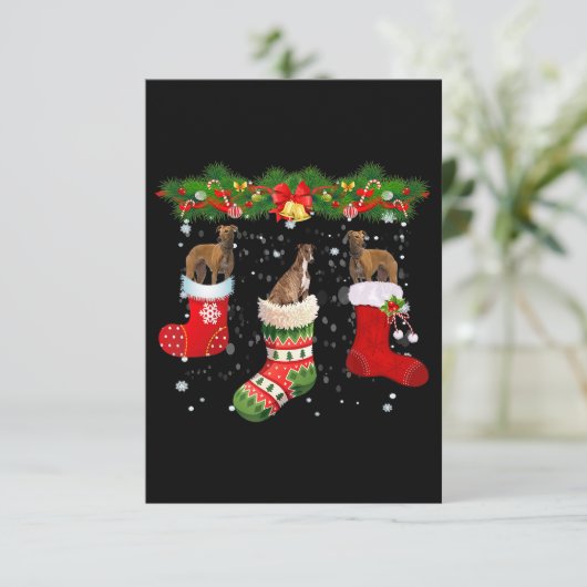 Drie Greyhound Dog in Sock-kerstkerstkerstkerstker Bedankkaart (Staand voorkant)