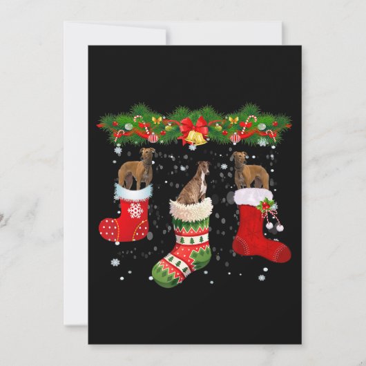 Drie Greyhound Dog in Sock-kerstkerstkerstkerstker Feestdagenkaart (Voorkant)