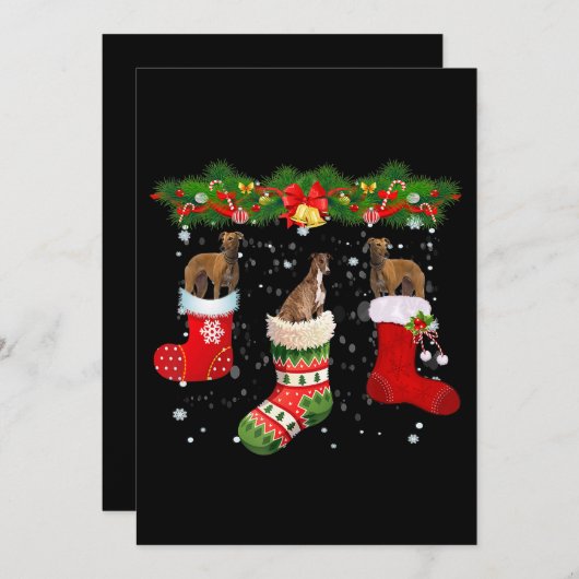 Drie Greyhound Dog in Sock-kerstkerstkerstkerstker Feestdagenkaart (Voorkant / Achterkant)