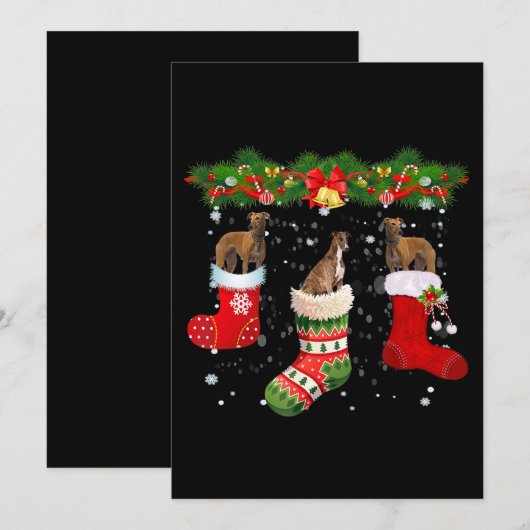 Drie Greyhound-hond in sokker Kerstman Feestdagenkaart (Voorkant / Achterkant)