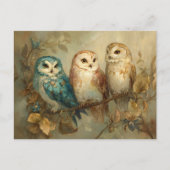Drie grillige uilen op een tak briefkaart (Voorkant)