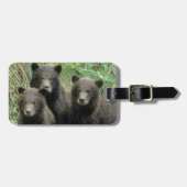 Drie grizzly Beer welpen of coys Bagagelabel (Voorkant horizontaal)