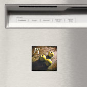 Drie groene appels Monogram Magnet (Insitu (Vaatwasser))