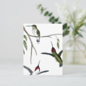 Drie Groene Hummingvogels Briefkaart (Staand voorkant)