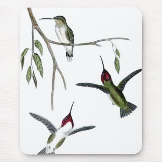 Drie Groene Hummingvogels Muismat (Voorkant)