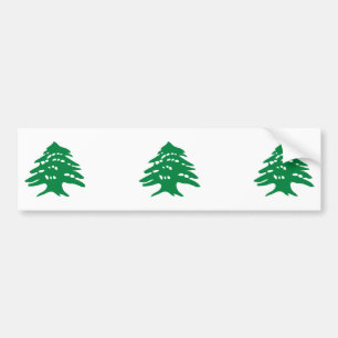 DRIE groene Libanese cedar-boom Bumpersticker