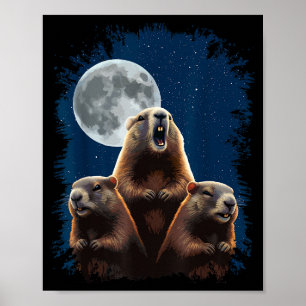 Drie Grondhonden En Een Maan Grappige Groundhog Da Poster