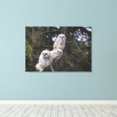 Drie grote kippen met een hoornvlieg (Bubo Virgini Canvas Afdruk (Insitu (Houten vloer))