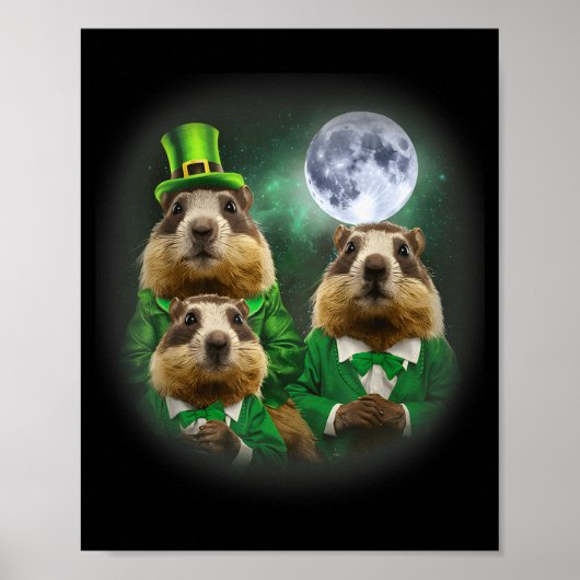 Drie Groundhog Maand 3 Groundhog Day Hoofd St Patr Poster (Voorkant)
