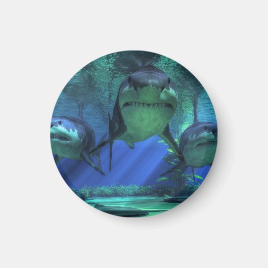 Drie haaien magneet (Voorkant)