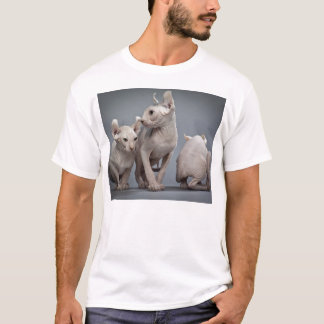 Drie haarloze katten t-shirt