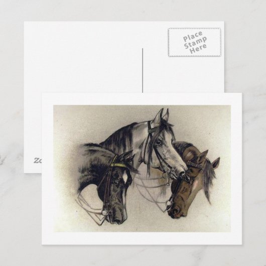 Drie Hand Drawn Horse Head  Briefkaart (Voorkant / Achterkant)