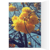 Drie Headed Naga (Binnen (Links))