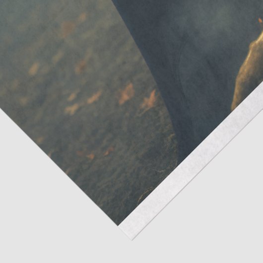 Drie Heksen 2 Decoupage Papier (Detail)