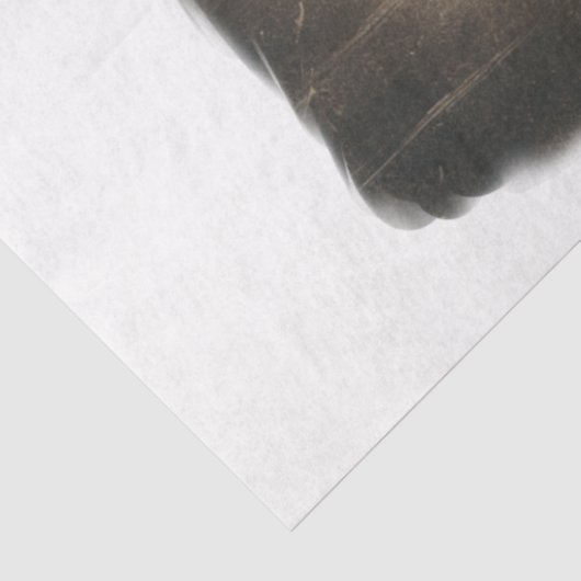 Drie heksen Antiek Tissuepapier (Detail)