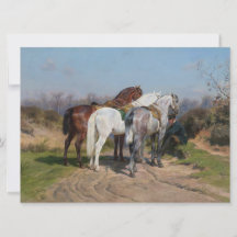Drie hengsten (door Rosa Bonheur)