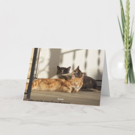 Drie het ontspannen Katten, Verjaardag Kaart (Achterkant)