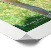 Drie Holstein Koeien Poster (Hoek)