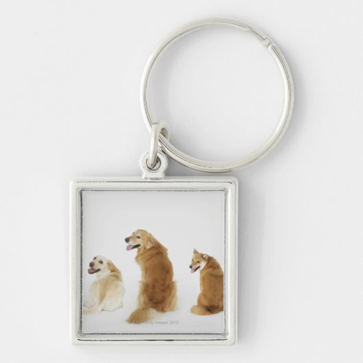 Drie honden die naar camera kijken sleutelhanger (Voorkant)
