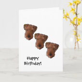 Drie honden nacht verjaardagskaart kaart (Gele Bloem)