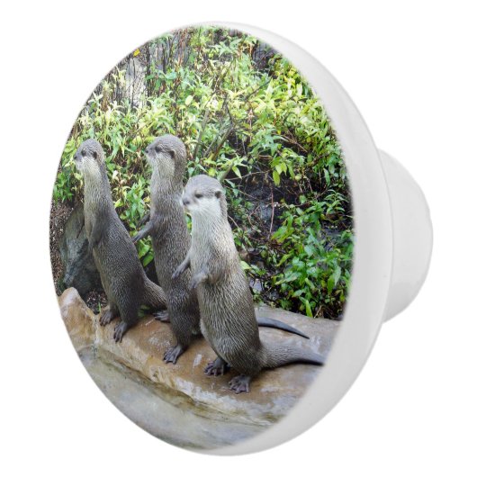 Drie Hongaarse otters, Keramische Knop (Rechts)