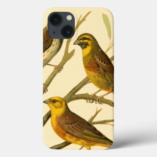 Drie huisdieren op een tak Case-Mate iPhone case (Achterkant)