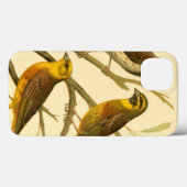 Drie huisdieren op een tak Case-Mate iPhone case (Achterkant (horizontaal))