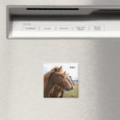 Drie IJslandse paarden op een rij Magnet (Insitu (Vaatwasser))
