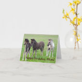 Drie IJslandse veulen. Kaart (Gele Bloem)