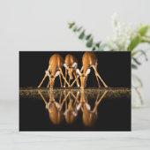 Drie impala's drink 's nachts samen bedankkaart (Staand voorkant)