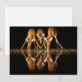 Drie impala's drink 's nachts samen bedankkaart (Voorkant / Achterkant)