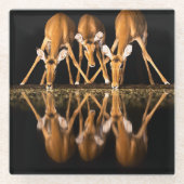 Drie impala's drink 's nachts samen glazen onderzetter (Voorkant)