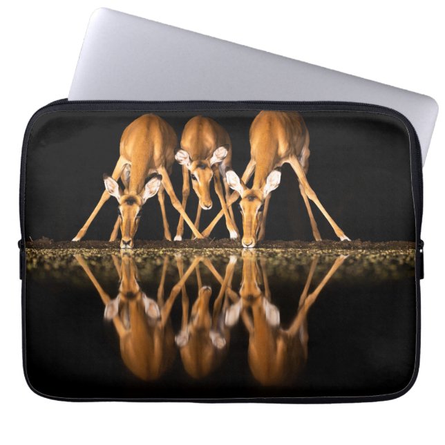 Drie impala's drink 's nachts samen laptop sleeve (Voorkant)