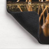 Drie impala's drink 's nachts samen muismat (Hoek)