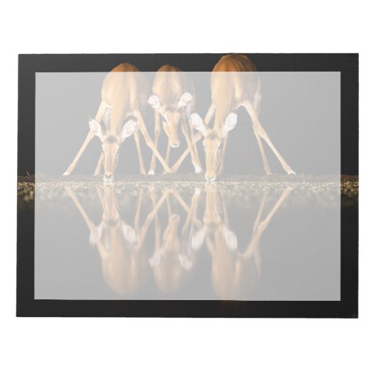 Drie impala's drink 's nachts samen notitieblok (Voorkant)